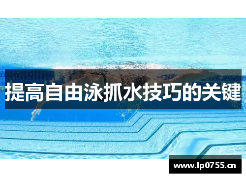 提高自由泳抓水技巧的关键